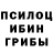 Галлюциногенные грибы мицелий alexander ibanez