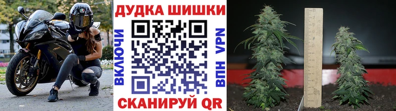 МАРИХУАНА марихуана Кущёвская